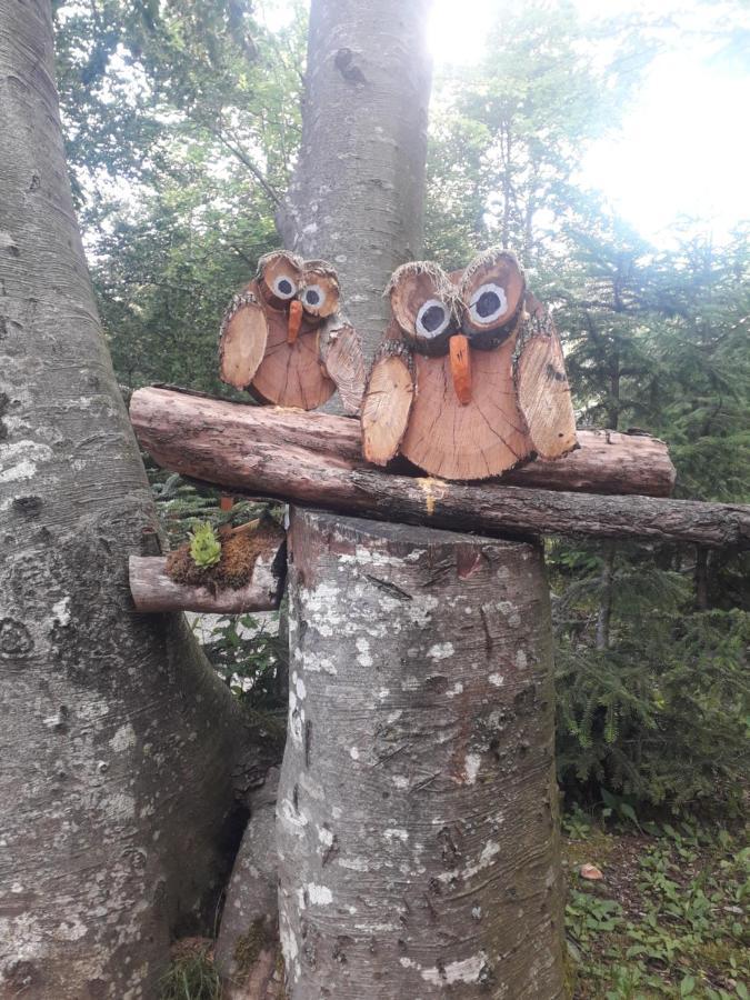 Kuca Za Odmor "Med Strmci" Villa Zlobin Kültér fotó
